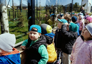 dzieci podczas wycieczki do ZOO