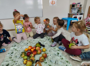 Poznajemy dary z sadu