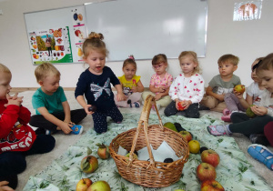 dziewczynka wkłada do koszyka śliwkę