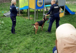 Panie policjantki i pies policyjny