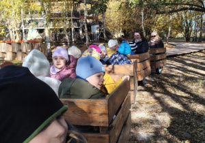 Spotkanie z dyniami