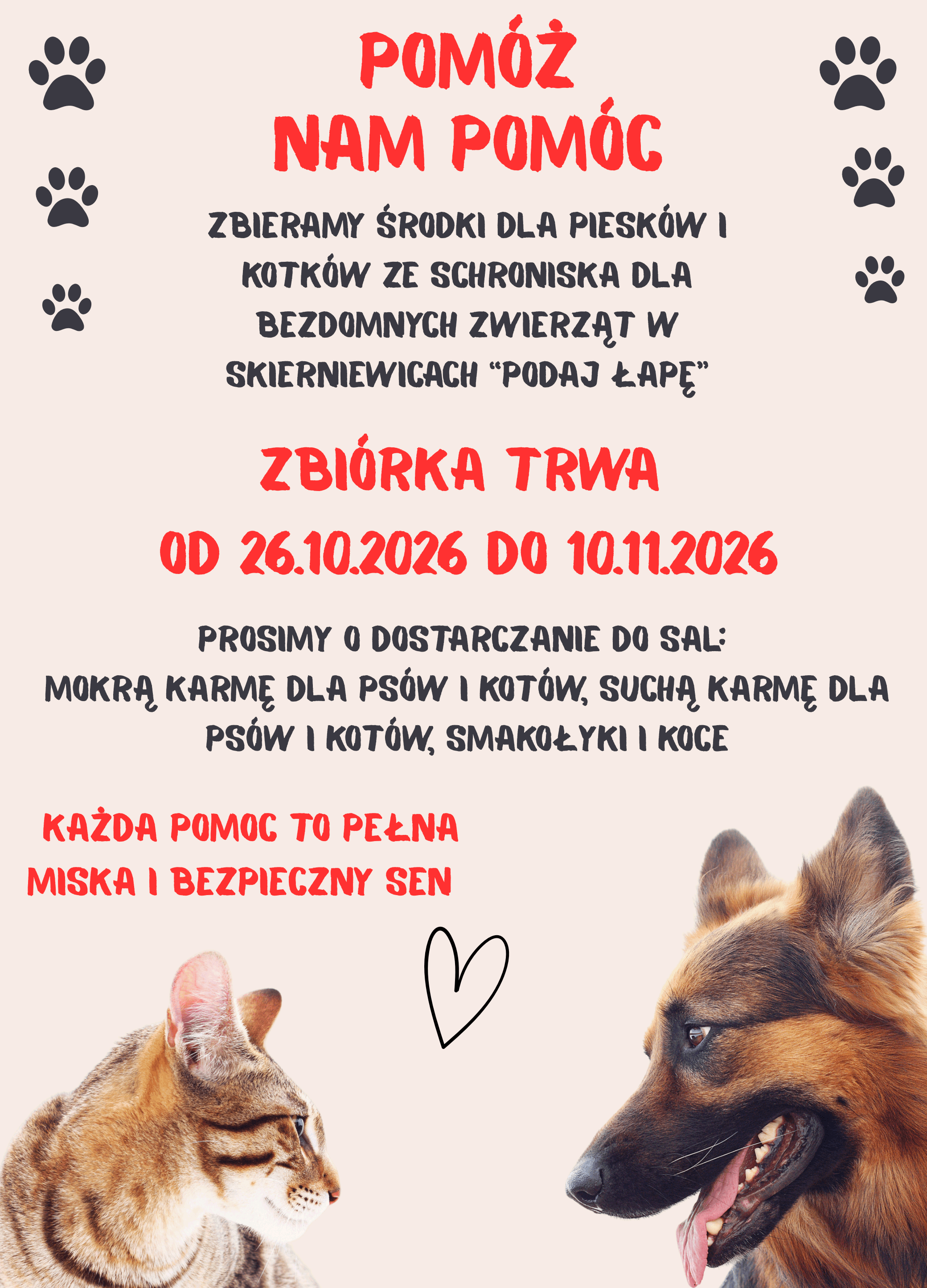 plakat o zbiórce dla schroniska