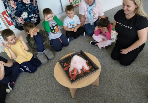 dzieci biorą udział w eksperymencie wulkan