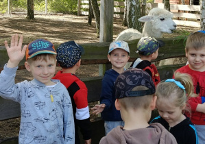 dzieci stoją przy alpace