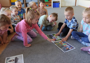 Plan zdarzeń.