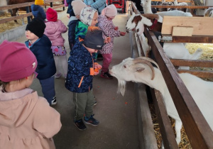 Wycieczka do Zakrzewia.
