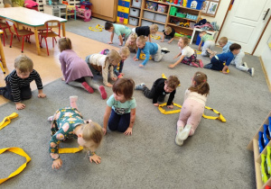 O pieskach się uczymy.