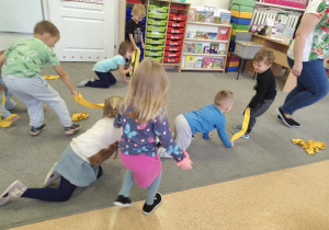 O pieskach się uczymy.