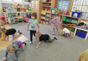 O pieskach się uczymy.