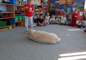 chłopiec wydaje komendę psu