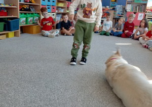 chłopiec wydaje komendę psu