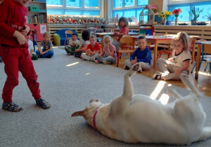 chłopiec wydaje komendę psu