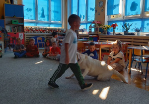 chłopiec wydaje komendę psu