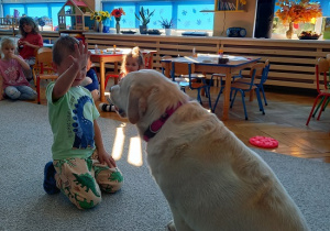 chłopiec wydaje komendę psu