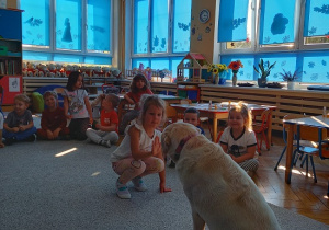 pies podaje dziewczynce łapę