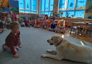 dziewczynka wydaje komendę psu