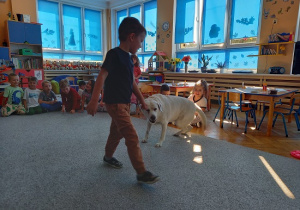 chłopiec wydaje komendę psu