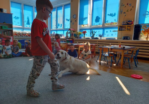 chłopiec wydaje komendę psu