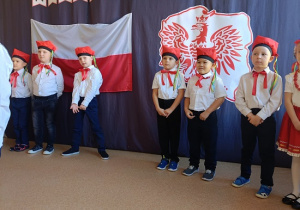 chłopcy w biało- czerwonych stronach