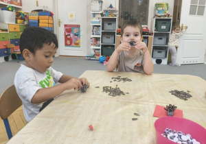 dzieci lepią jeżyki z plasteliny i ziaren słonecznika