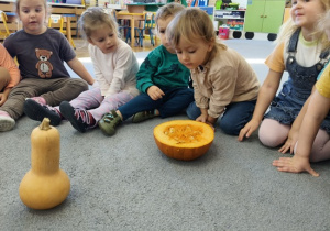 dzieci obserwują rozkrojoną dynię