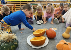 dzieci oglądają obrazki dyni