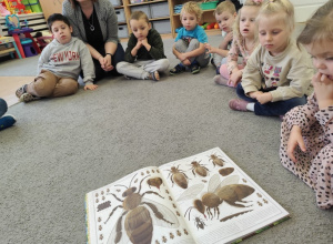 Zajęcia z programu "Mali czytelnicy"- "Pszczoły"