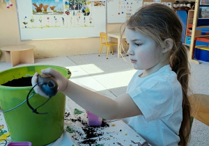 dziewczynka sadzi cebulę do pojemniczka z ziemią