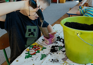 chłopiec sadzi cebulę do pojemniczka z ziemią