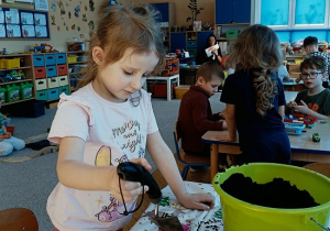 dziewczynka sadzi cebulę do pojemniczka z ziemią