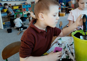 chłopiec sadzi cebulę