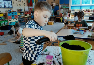 chłopiec sadzi cebulę