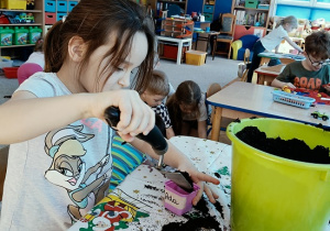 dziewczynka sadzi cebulę do pojemniczka z ziemią