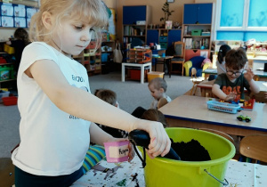 dziewczynka sadzi cebulę do pojemniczka z ziemią