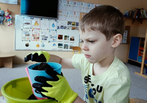 chłopiec sieje owies w doniczce