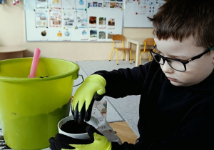 chłopiec sieje owies w doniczce