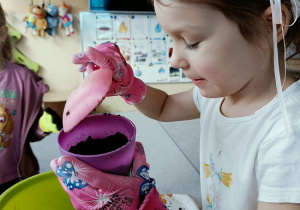 dziewczynka sieje owies w doniczce