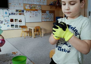 chłopiec sieje owies w doniczce