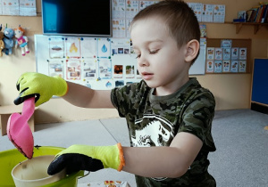 chłopiec sieje owies w doniczce