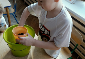 chłopiec sieje owies w doniczce