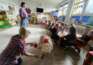 dzieci obserwują psa