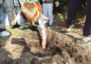 chłopiec sadzi cebulkę kwiatu do ziemi