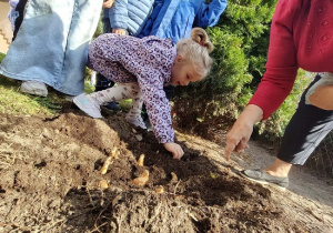 dziewczynka sadzi cebulkę kwiatu do ziemi