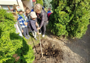 chłopiec grabi ziemię