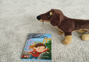 Gucio i jego przygody.