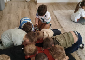Zwierzę nie z tej ziemi
