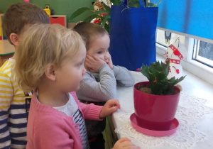 dzieci oglądają kwiatka z pączkami