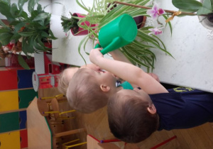 Chłopcy podlewają kwiaty na parapecie