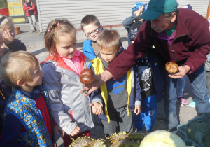 handlarz pokazuje dzieciom słoneczniki i grzyby